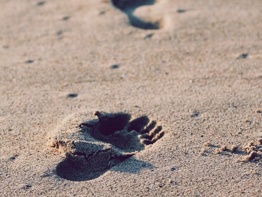 The Life and Teachings of Christ