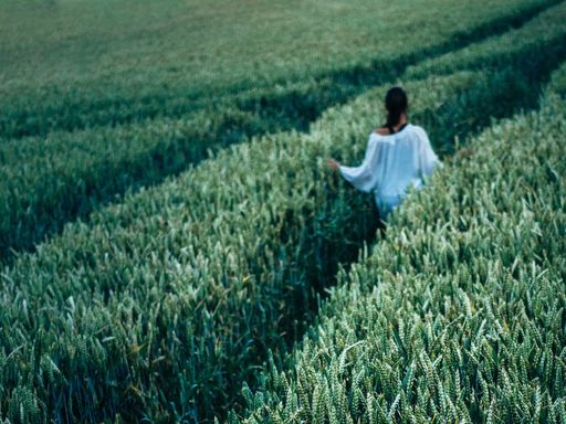 Genuinely Following Jesus