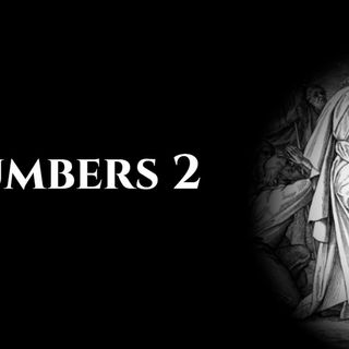 Numbers 2