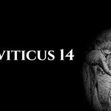 Leviticus 14
