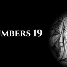 Numbers 19