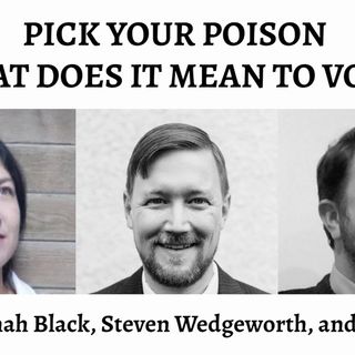Pick Your Poison: What Does it Mean to Vote?
