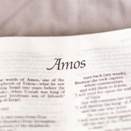 Amos