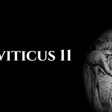 Leviticus 11