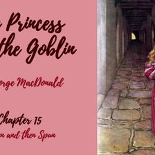 The Princess and the Goblin—Chapter 15: Woven and Then Spun