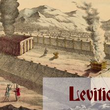 Leviticus: Chapter-by-Chapter Commentary