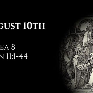 August 10th: Hosea 8 & John 11:1-44