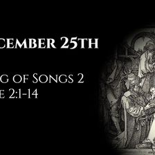 December 25th: Song of Songs 2 & Luke 2:1-14