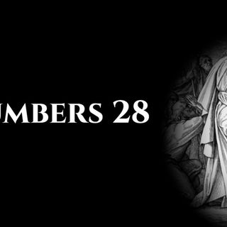 Numbers 28