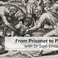 From Prisoner to Prince (with Dr Sam Emadi)