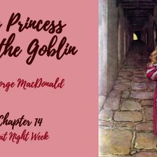 The Princess and the Goblin—Chapter 14: That Night Week