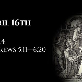 April 16th: Job 14 & Hebrews 5:11—6:20