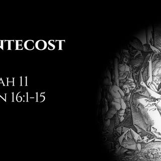 Pentecost: Isaiah 11 & John 16:1-15