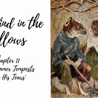 The Wind in the Willows—Chapter 11: 'Like Summer Tempests Came His Tears'