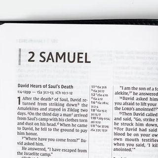 2 Samuel 1 - 2