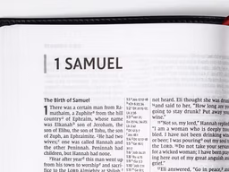 1 Samuel