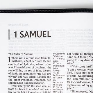 Samuel and Chronicles - Introduction