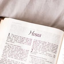 Hosea