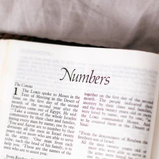 Numbers (Introduction)